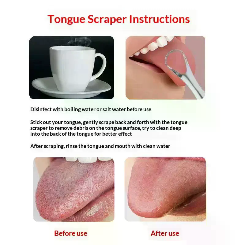 ステンレス鋼舌スクレーパーセット再利用可能な金属クリーナー口 - Tongue Scraper Metal のレビューと価格
